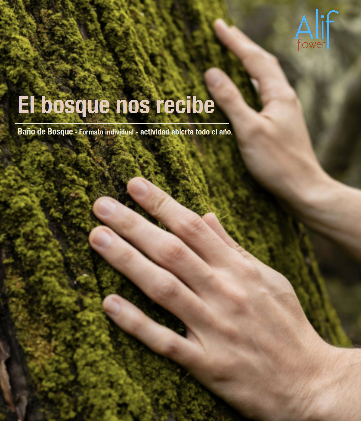 Acompañamiento en el Bosque